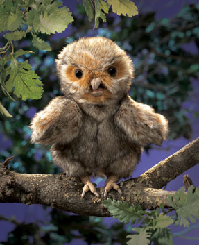 Owlet
