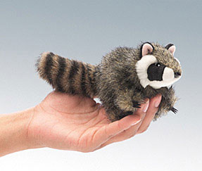 Raccoon
