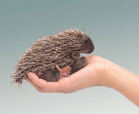 Porcupine
