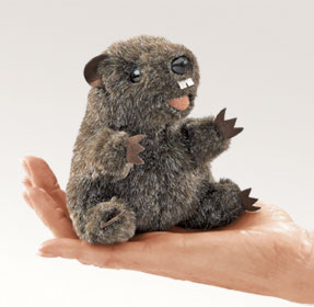 Groundhog