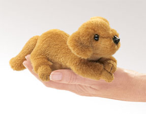 Dog (Golden Retriever)