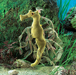 Dragon &ndash; Mini Leafy Sea Dragon
